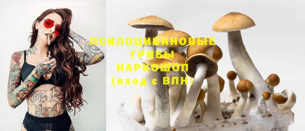 не бодяженный Волоколамск