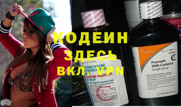 дурь Вяземский