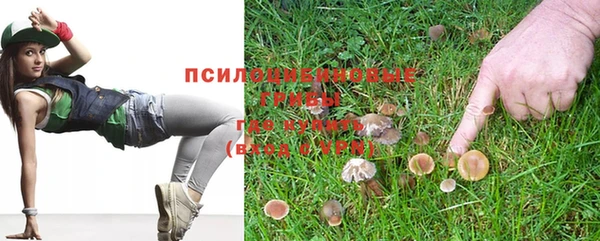 не бодяженный Волоколамск