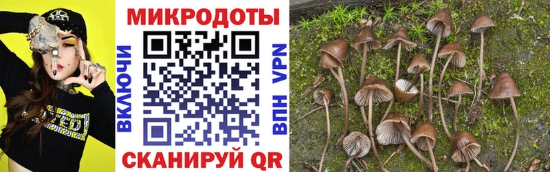 Купить  Лобня  Псилоцибиновые грибы GOLDEN TEACHER 